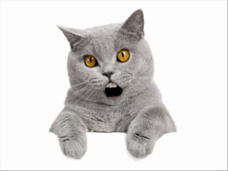 200 cosas que no sabias de la vida 8