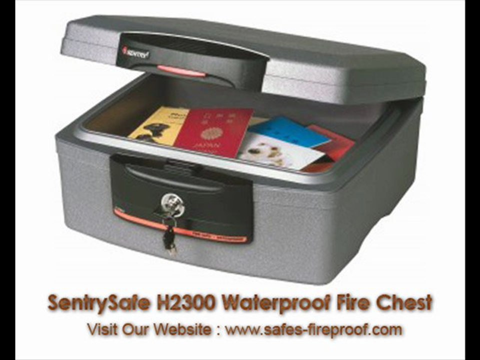 Check out Top Fireproof Safes for your home