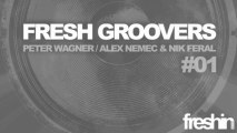 Alex Nemec & Nik Feral - Seductive Pernache (Original Mix) [Freshin]