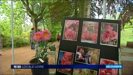 France 3 Loire -  10 juin