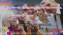 stil Ştefan Hruşcă - Nunta de flori [Karaoke by kinder]