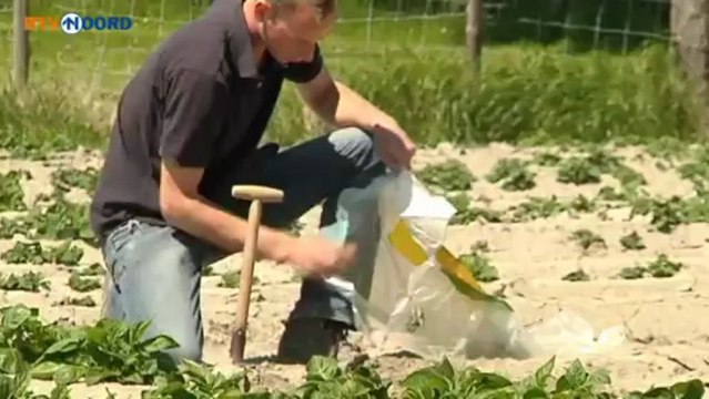 Groningen heeft gemiddeld de jongste boeren - RTV Noord