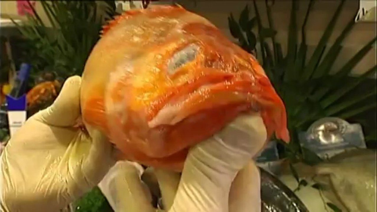 Manger du poisson en fonction des saisons, un conseil pour la sauvegarde des espèces