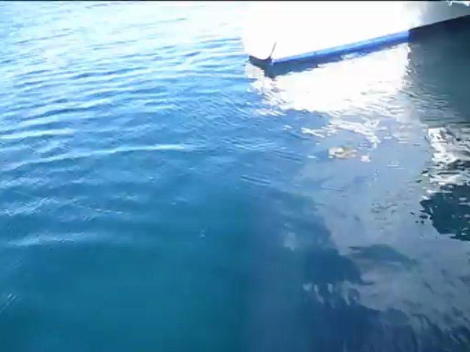 Barra loupé