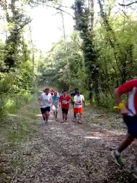 Les Foulées de Beauregard - 09/06/2013 - Saint Genis Laval