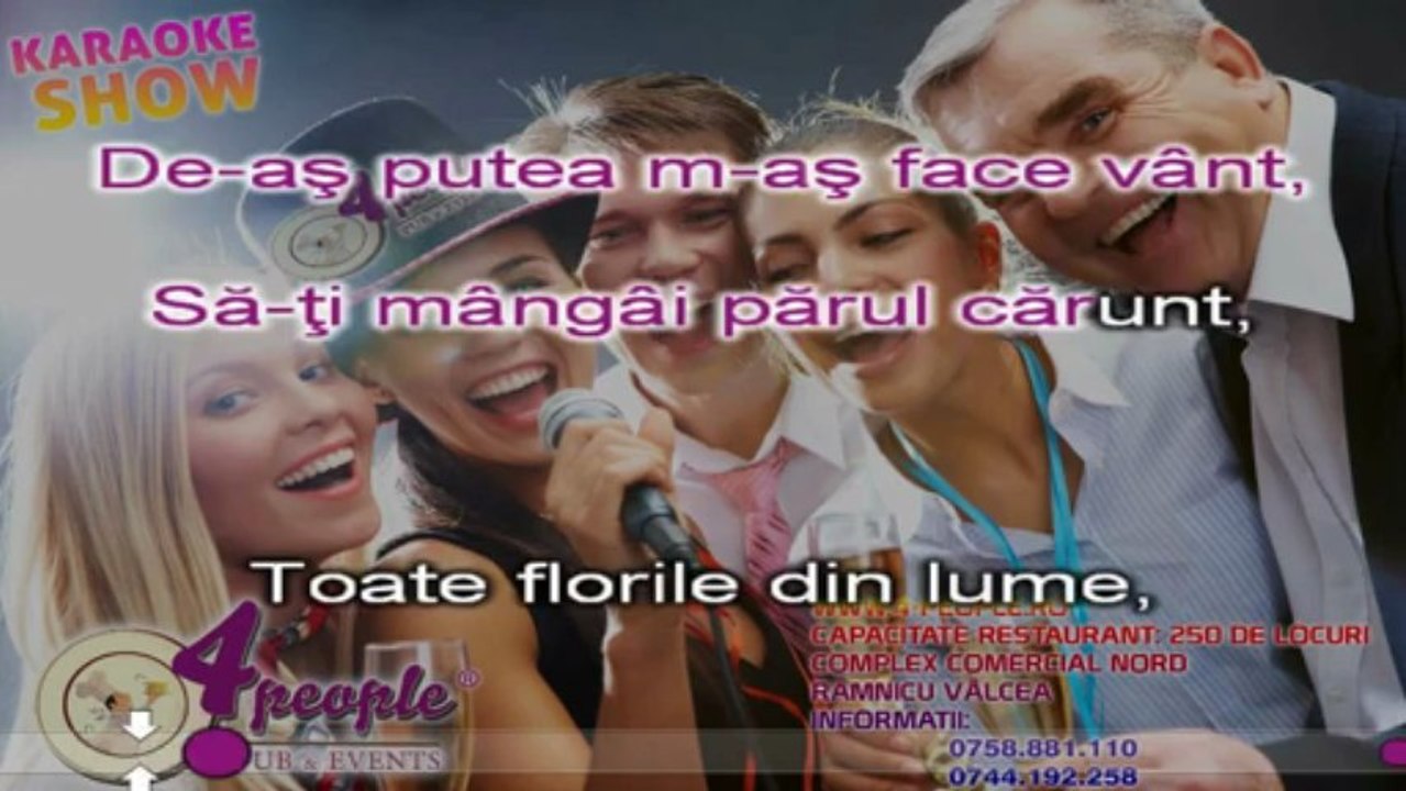 stil Ion Paladi - Mama mea, icoană sfântă [Karaoke by kinder]