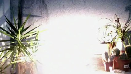 Le Labo (explosion du feu)