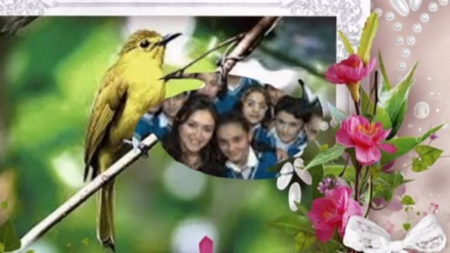 GÜLLER VE BÜLBÜLLER