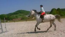 saut galop 2