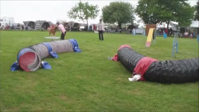 Magic & Bullit Concours ECV juin 2013