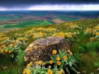 Gurup Genç  Süper Yorum Gurbet Ezgisi