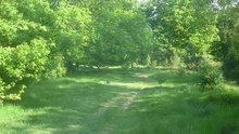 Sydney on Rosendael Heath