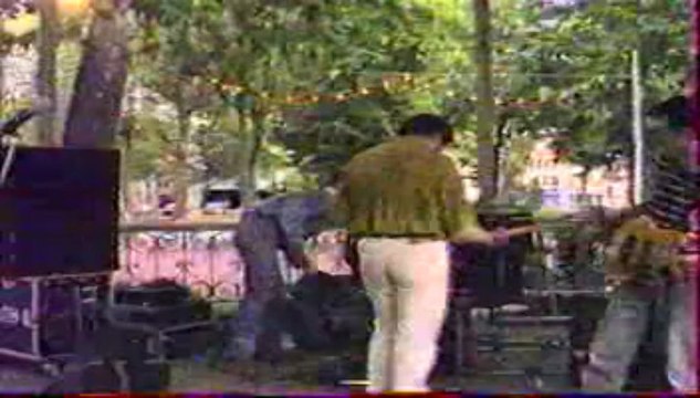 There she goes (the Las) by West of the fields, June 1991