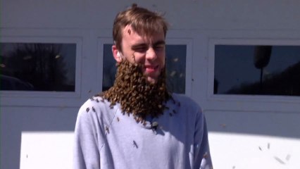 1 Million Facebook Likes = ONE GIANT BEE BEARD