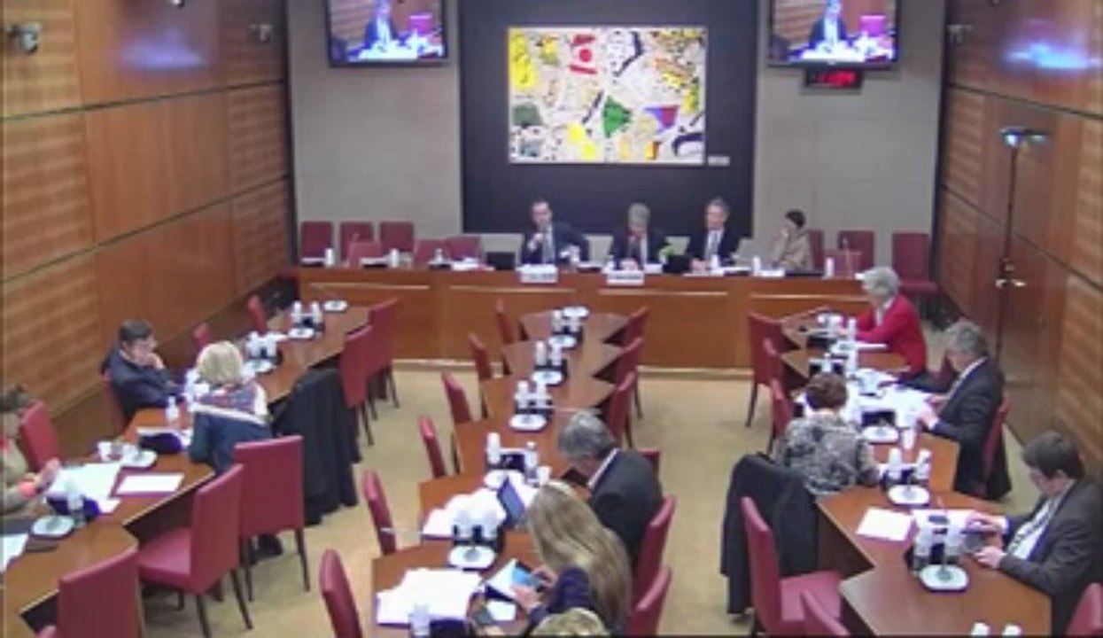 13.04.10intervention en commission audition Racine psdt bnf sur la numérisation des fonds BNF