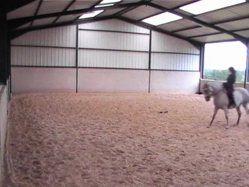 10.06.13 voltes serrées hedd, pirouette galop,  rassemblé, jambe