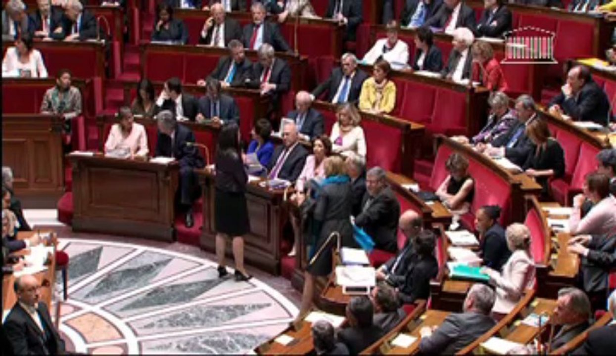 Sylvia Pinel, questions au gouvernement, questions parlementaires, Hervé Pellois 04062013