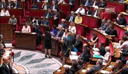 Sylvia Pinel, questions au gouvernement, questions parlementaires, Hervé Pellois 04062013