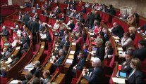 Sylvia Pinel, questions au gouvernement, questions parlementaires, Marie Hélène Fabre