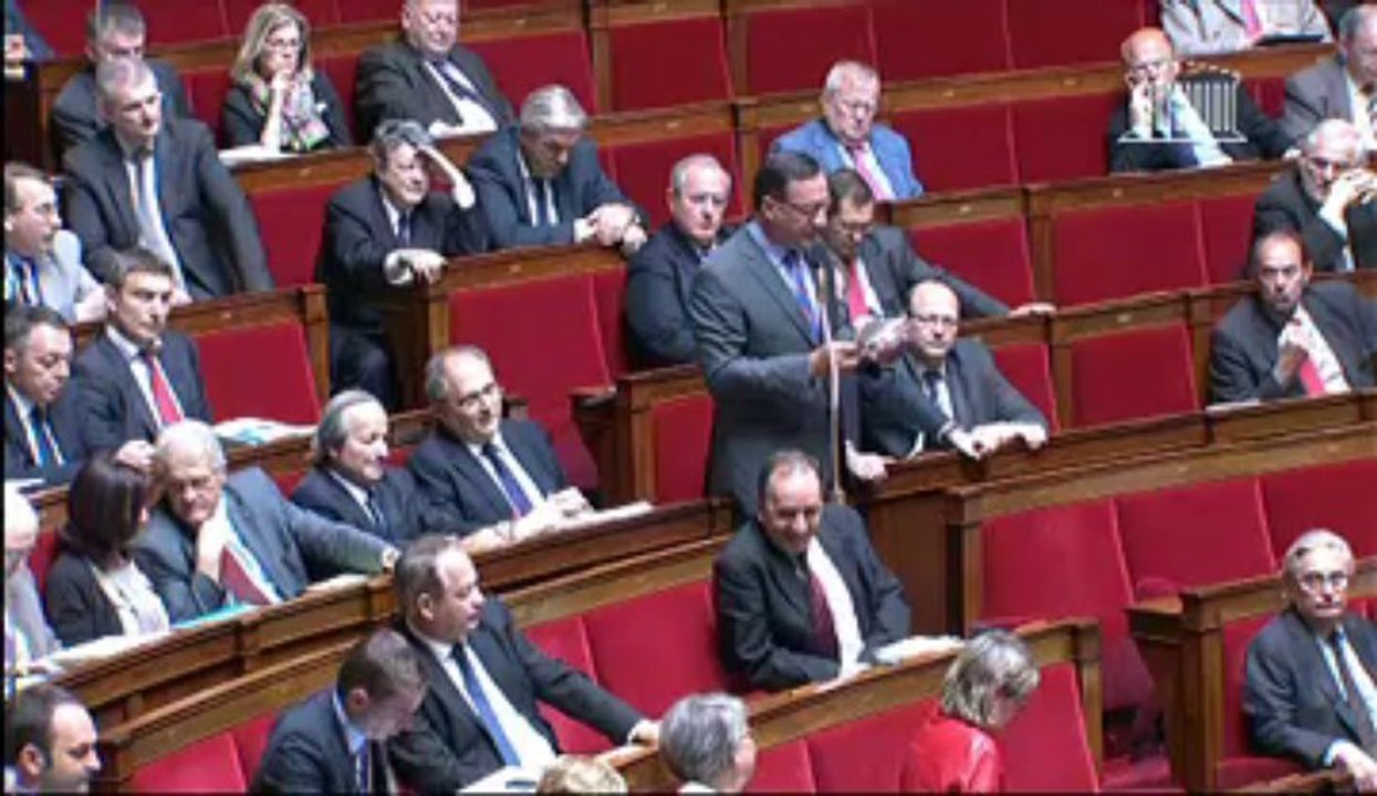 Sylvia Pinel, questions au gouvernement, questions parlementaires, Yannick Favennec