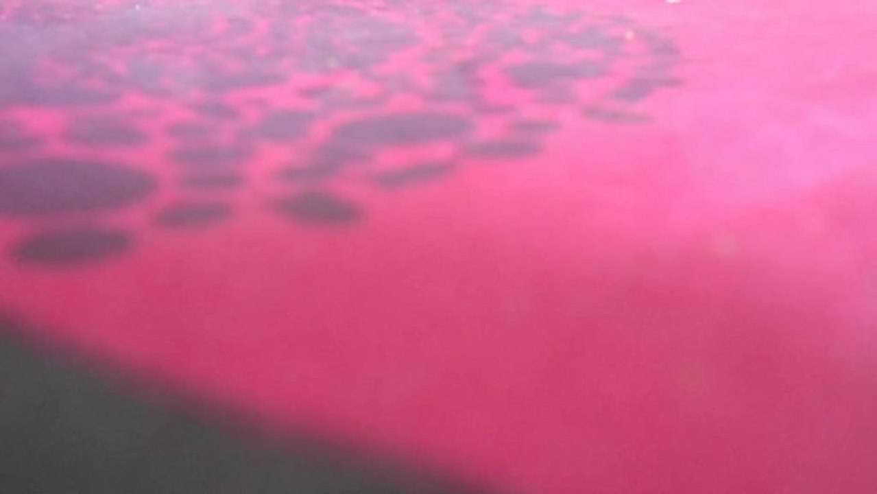 CORAZON DE POETA / POUR TROIS AMIS POETES