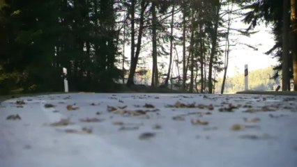 Audi RS6 Avant engine sound