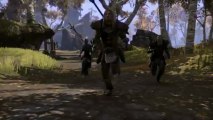 E3 2013: The Elder Scrolls Online gameplay trailer (PS4, XOne, PC)