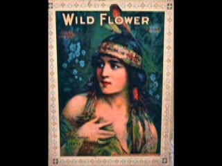 Georgia Melodians - She's Drivin' Me Wild