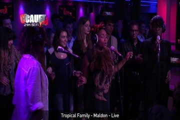 Tropical Family - Maldon - Live