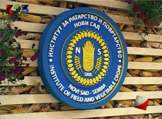 K23TV - Sajam InfoNet - 9. jun 2013.