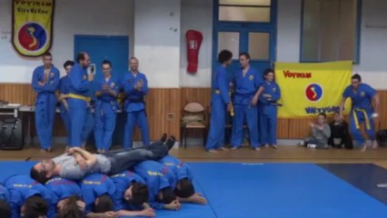 Vovinam Viet Vo Dao - Les Lilas 2013