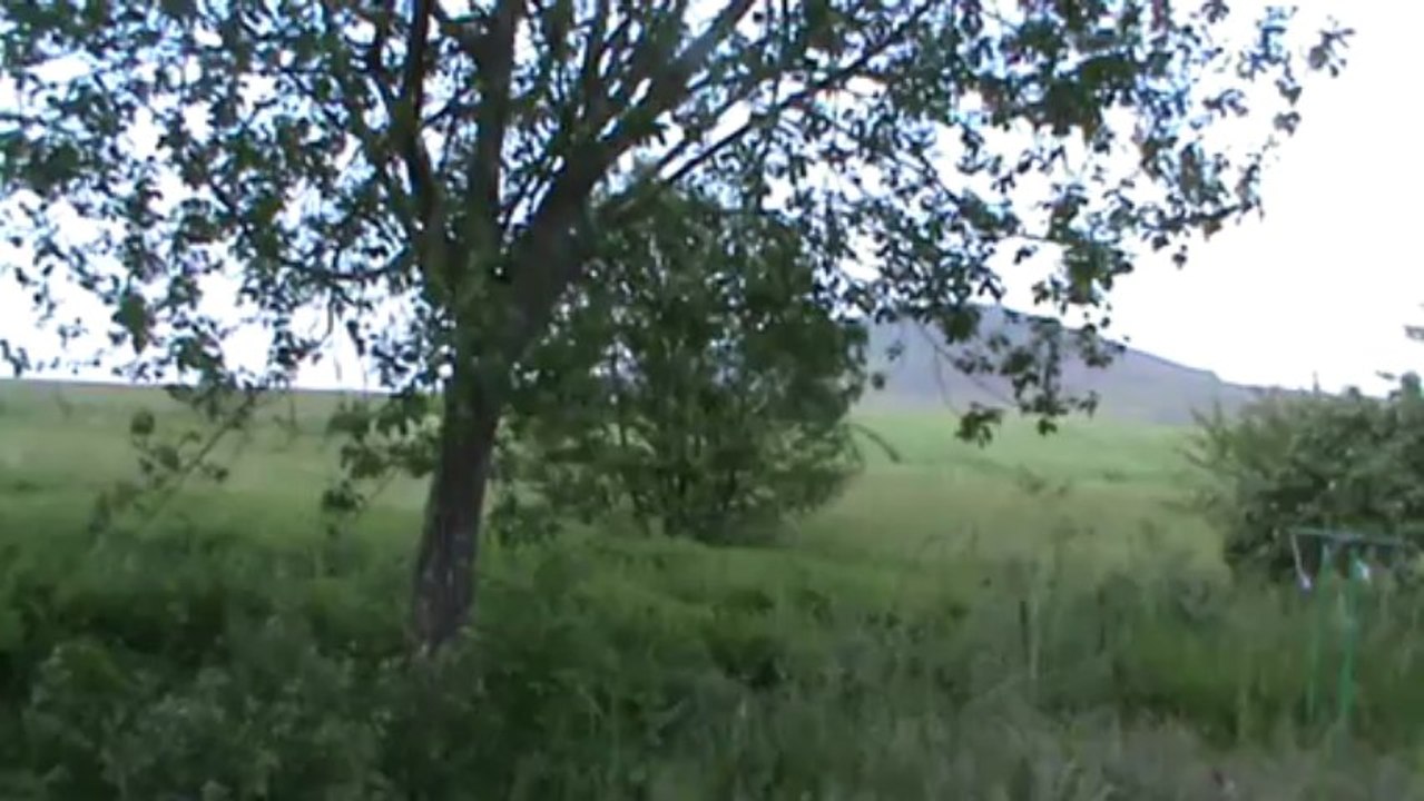 Derrière ma maison dans les Vosges
