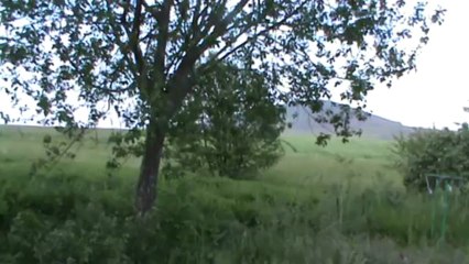 Derrière ma maison dans les Vosges