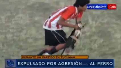 Un joueur de foot jette un chien...quel enfoiré!