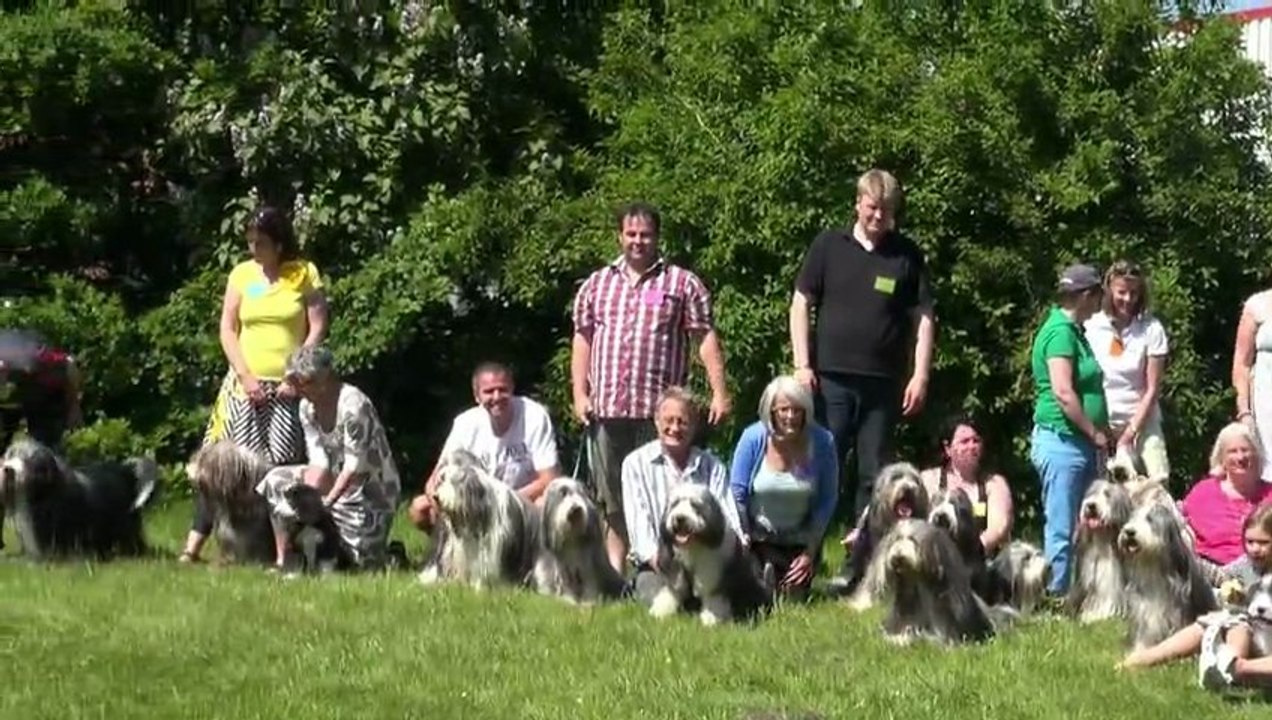 Beardie-Fest 2013 bei Gentle Souls in Agathenburg