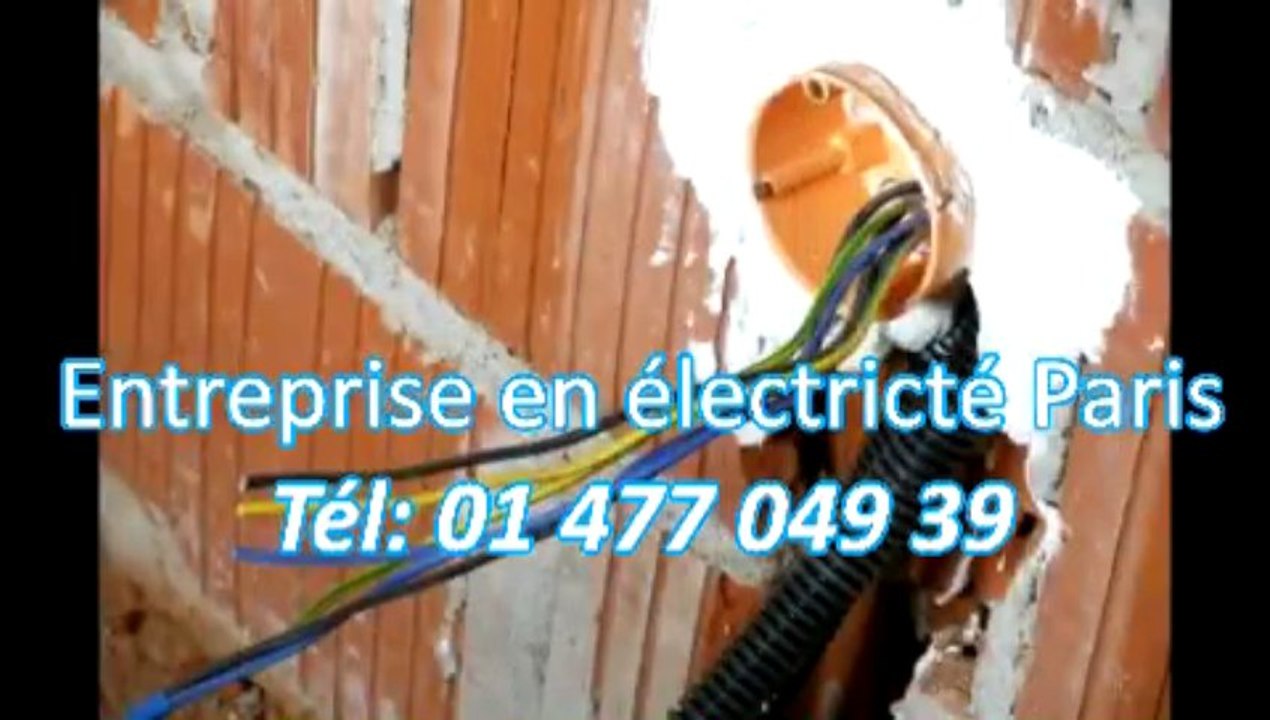 Entreprise en électricté Tél: 01 477 049 39