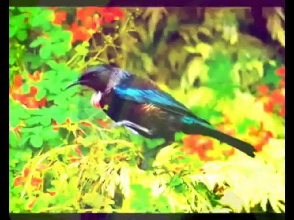 Cuando se acaba el amor