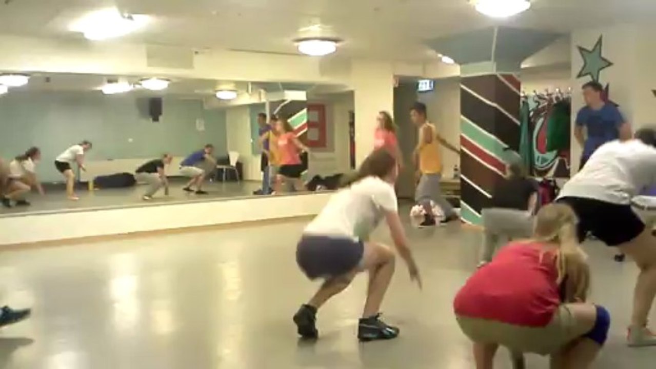 LDS FIN OPENING