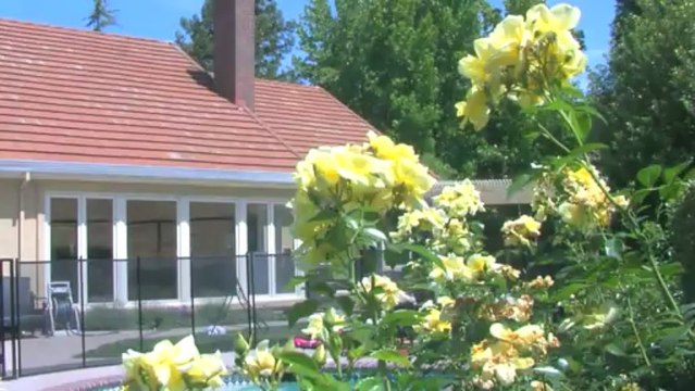 Danville California Real Estate Current Market Value Evaluation