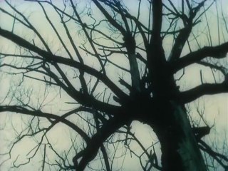 Где же сказка