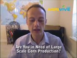 Buy Bulk Corn, Maize, Sweet Corn Harvester, Sweet Corn Harvesters for sale, Golden Harvest seed Corn