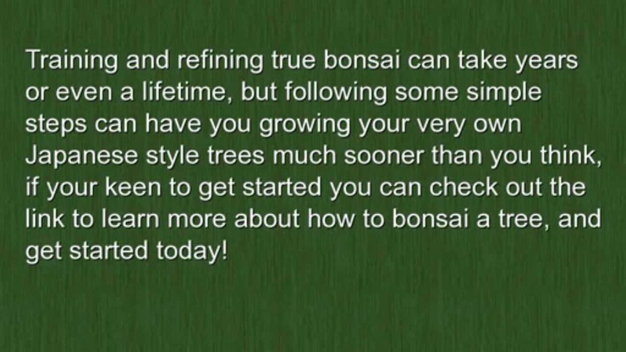 How to Bonsai a Tree