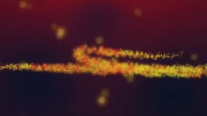 ТVР Info - ident "Szczęśliwego Nowego Roku 2012"