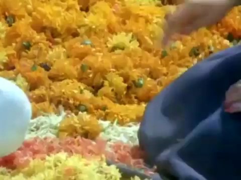 Pehle Padhai Phir Pyaar Hoga - Aakhree Raasta (1986) Full Song HD