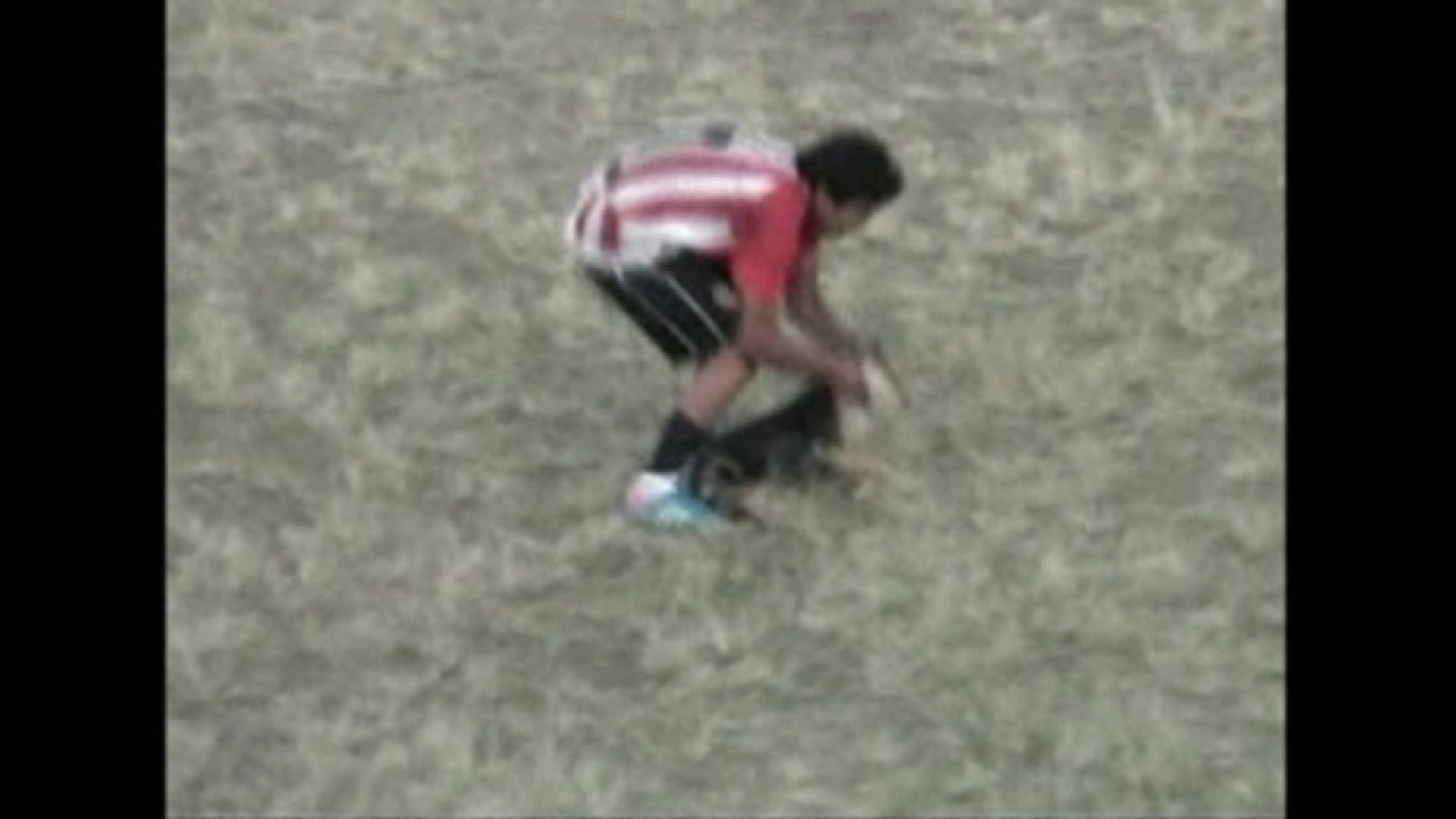 Soccer player throws stray dog off field