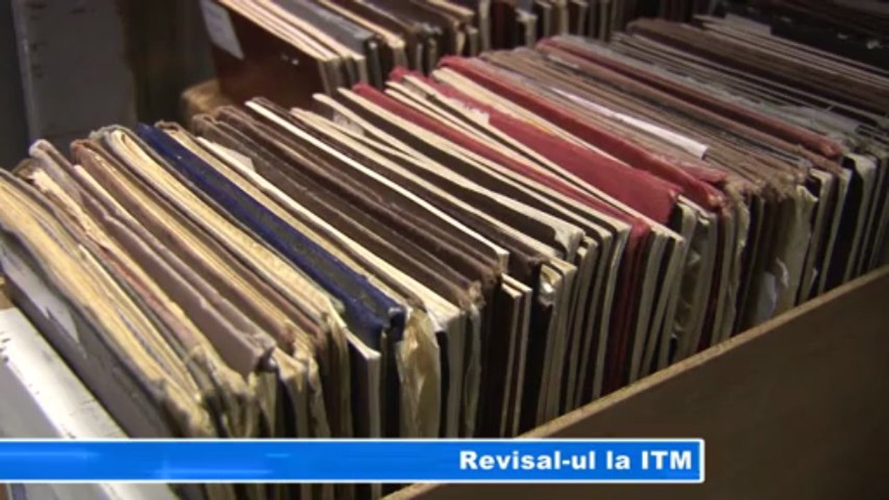 Revisalul la ITM