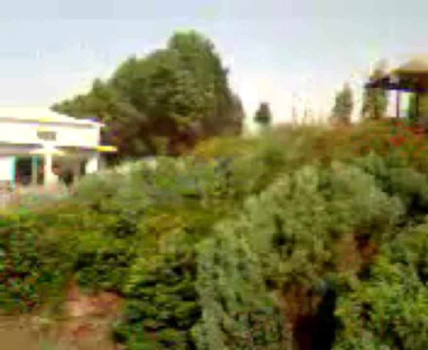 Video0006