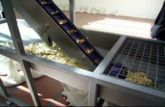 Danae : Pavillon Russie Biennale Venise 2013