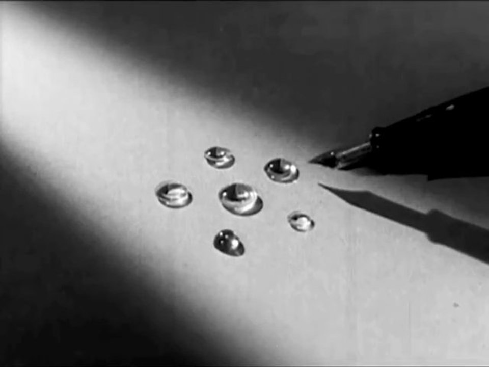 Don't blame the cat (soundtrack Dj VADIM / Ninja Tune)