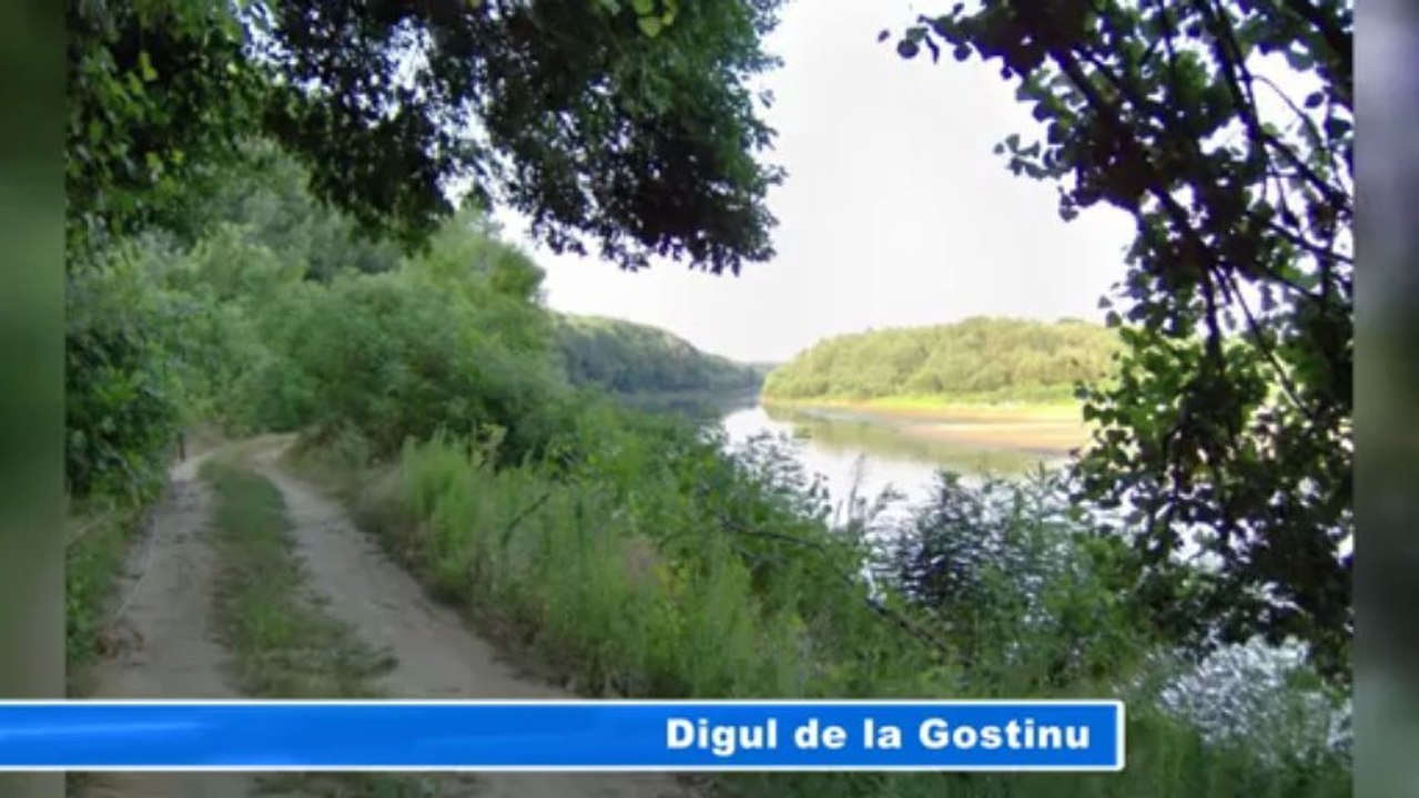 DIGUL DE LA GOSTINU